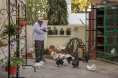 Gadh Ganesh Homestay Birds Garden Area